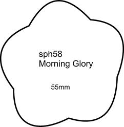 sph58 Morning Glory