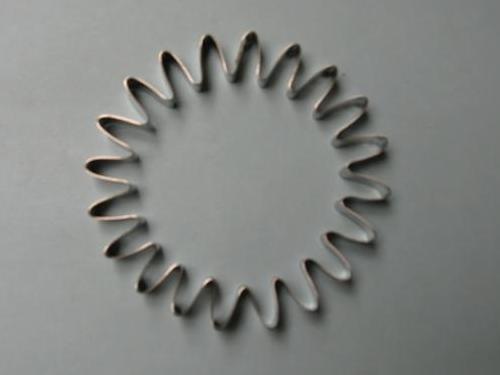 sph06 Gerbera 20 petal