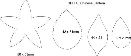 sph43 Chinese Lantern